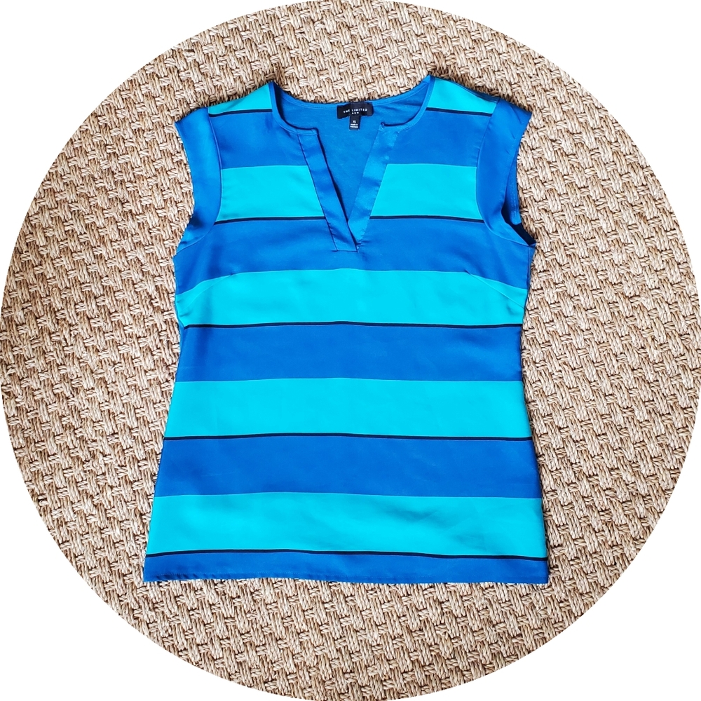Blue and Aqua Striped Express Sleeveless Blouse